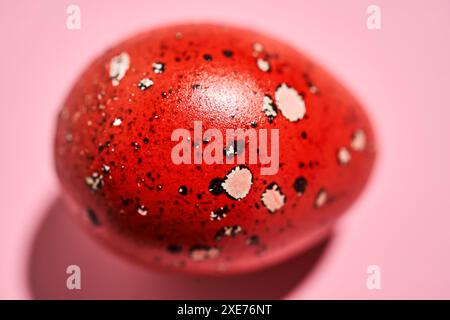 Primo piano dell'uovo di quaglia rossa di Pasqua. Trama. Foto Stock