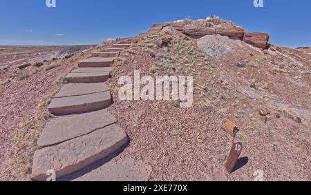 Passi lungo il Giant Logs Trail che conduce a un punto panoramico nel Petrified Forest National Park, Arizona, Stati Uniti d'America, Nord America Foto Stock