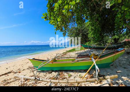 Le canoe da Outrigger sulla spiaggia di Pulisan con il monte Tangkoko e il parco nazionale oltre, Pulisan, gli altopiani di Minahasa, Sulawesi settentrionale, Indonesia, A sud-est Foto Stock