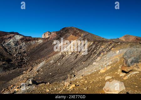 Vista lungo il pendio e il sentiero escursionistico fino al vulcano Red Crater, sul Tongariro Alpine Crossing, Parco Nazionale Tongariro, nuova Zelanda Foto Stock