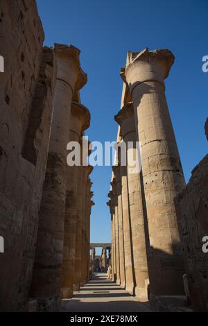 Colonnato di Amenofi III, tempio di Luxor, sito patrimonio dell'umanità dell'UNESCO, Luxor, Egitto, Nord Africa, Africa Foto Stock