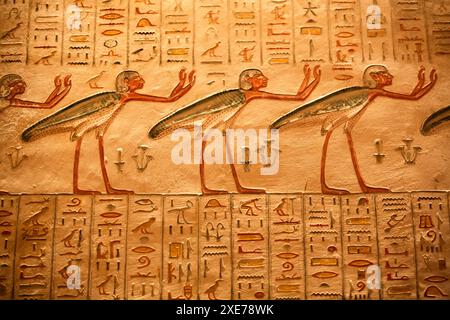 Rilievi, Tomba dei Ramses V e vi, KV9, Valle dei Re, Antica Tebe, sito Patrimonio dell'Umanità dell'UNESCO, Luxor, Egitto, Nord Africa, Africa Foto Stock