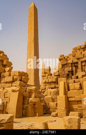 Vista dell'obelisco di Hatshepsut, del complesso del tempio di Karnak, sito patrimonio dell'umanità dell'UNESCO, vicino a Luxor, Tebe, Egitto, Nord Africa, Africa Foto Stock