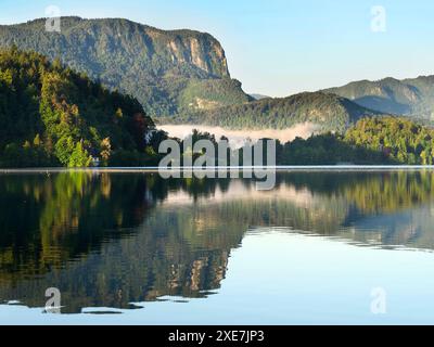 Nebbia che sorge in una valle sul lago di Bled all'alba di Bled alta Carniola Slovenia Foto Stock