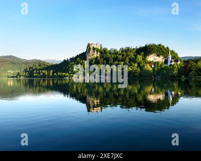 Il castello di Bled e la chiesa di San Martino si riflettono sul lago di Bled in una mattina d'estate a Bled, alta Carniola, Slovenia Foto Stock