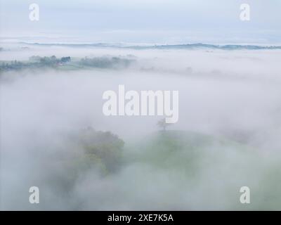 L'albero collinare solitario emerge da un mare di nebbia mattutina, Devon, Inghilterra. Primavera (maggio) 2024. Foto Stock