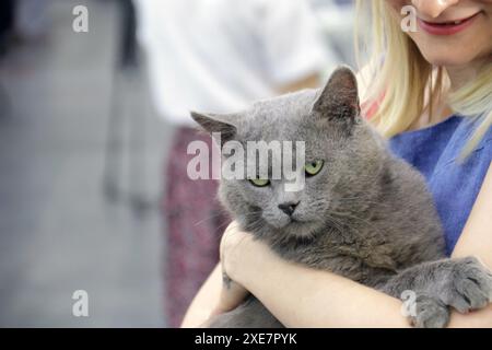 KIEV, UCRAINA - 22 GIUGNO 2024 - Una donna tiene un gatto durante l'evento della giornata dell'adozione presso il Centro esposizioni Internazionale di Kiev, capitale dell'Ucraina. Foto Stock