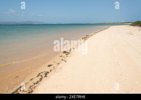 Ilha deserta, algarve portogallo Foto Stock