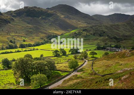 Terreni agricoli ondulati e montagne a Little Langdale, Lake District National Park, Cumbria, Inghilterra. Autunno (settembre) 2018. Foto Stock