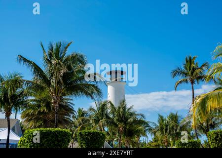 Great Stirrup Cay Bliss: Uno spettacolare arazzo di bellezza tropicale nelle incantevoli isole Berry, Bahamas Foto Stock