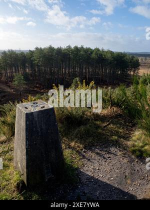 Trig Point, Woolsbarrow Hillfort, Bloxworth Heath, Wareham Forest, Dorset, REGNO UNITO Foto Stock