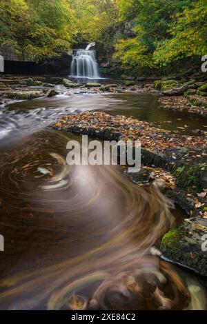 Cauldron Falls vicino al villaggio di West Burton, Yorkshire Dales, Inghilterra. Autunno (ottobre) 2018. Foto Stock