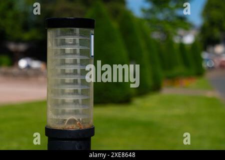 Primo piano di una lanterna illuminante in un parco verde. Concentrati sul primo piano. Foto Stock