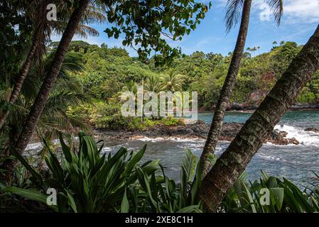 Dal punto panoramico del giardino tropicale Hilo nelle Hawaii, la vista panoramica si dispiega maestosamente sulla costa frastagliata Foto Stock
