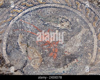 Mosaici della casa del cavaliere. Città romana di Volubilis (II d.c.) Foto Stock