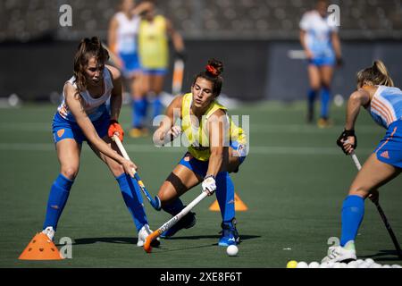 AMSTELVEEN - Fay van der Elst e Frederique Matla durante un allenamento delle signore olandesi dell'hockey in vista dei Giochi Olimpici di Parigi. LEVIGATRICE ANP KONING Foto Stock