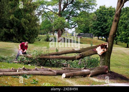 BLOOMINGTON, INDIANA - GIUGNO 25: Equipaggio del Dogwood Tree Service che pulisce l'albero abbattuto alla Bloomington High School South. Danni da tempesta il 25 giugno 2024 a Bloomington, Indiana. La tempesta che ha portato forti venti abbatte gli alberi e ha causato interruzioni di corrente in tutta la città. (Foto di Jeremy Hogan/The Bloomingtonian) Foto Stock