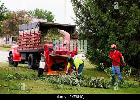 BLOOMINGTON, INDIANA - GIUGNO 25: Equipaggio del Dogwood Tree Service che pulisce l'albero abbattuto alla Bloomington High School South. Danni da tempesta il 25 giugno 2024 a Bloomington, Indiana. La tempesta che ha portato forti venti abbatte gli alberi e ha causato interruzioni di corrente in tutta la città. (Foto di Jeremy Hogan/The Bloomingtonian) Foto Stock