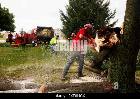 BLOOMINGTON, INDIANA - GIUGNO 25: Equipaggio del Dogwood Tree Service che pulisce l'albero abbattuto alla Bloomington High School South. Danni da tempesta il 25 giugno 2024 a Bloomington, Indiana. La tempesta che ha portato forti venti abbatte gli alberi e ha causato interruzioni di corrente in tutta la città. (Foto di Jeremy Hogan/The Bloomingtonian) Foto Stock