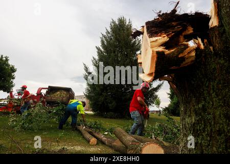 BLOOMINGTON, INDIANA - GIUGNO 25: Equipaggio del Dogwood Tree Service che pulisce l'albero abbattuto alla Bloomington High School South. Danni da tempesta il 25 giugno 2024 a Bloomington, Indiana. La tempesta che ha portato forti venti abbatte gli alberi e ha causato interruzioni di corrente in tutta la città. (Foto di Jeremy Hogan/The Bloomingtonian) Foto Stock