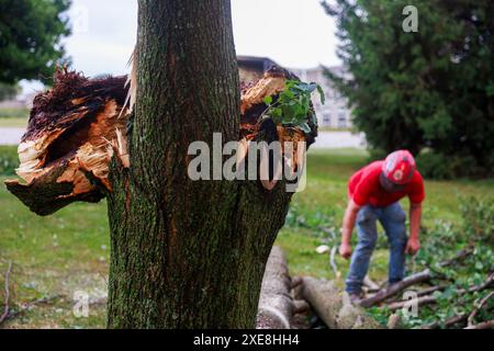 BLOOMINGTON, INDIANA - GIUGNO 25: Equipaggio del Dogwood Tree Service che pulisce l'albero abbattuto alla Bloomington High School South. Danni da tempesta il 25 giugno 2024 a Bloomington, Indiana. La tempesta che ha portato forti venti abbatte gli alberi e ha causato interruzioni di corrente in tutta la città. (Foto di Jeremy Hogan/The Bloomingtonian) Foto Stock