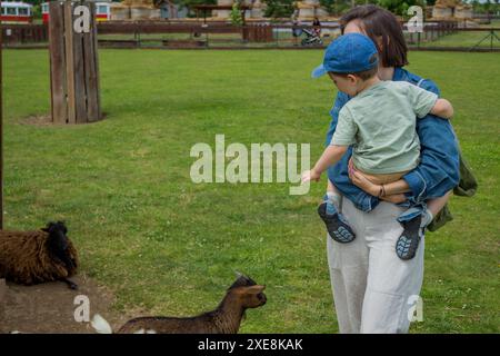 Una mamma e il suo giovane figlio danno da mangiare a una capra in una fattoria con uno zoo a contatto Foto Stock