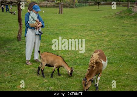 Una mamma e il suo giovane figlio danno da mangiare a una capra in una fattoria con uno zoo a contatto Foto Stock