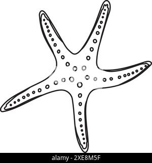 Illustrazione vettore stella marina. Pesce della stella marina disegnato a mano. Disegno lineare della conchiglia per il design in stile nautico. Contorno schizzo della spiaggia marina per icona o logo. Incisione nera dell'elemento subacqueo Illustrazione Vettoriale