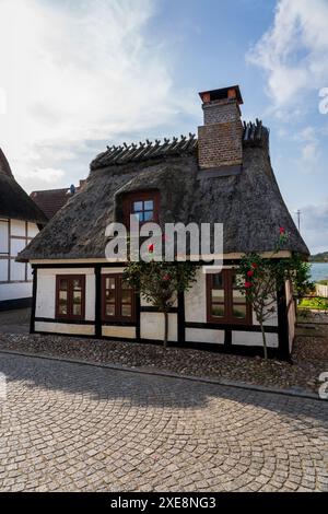 Casa frisone con tetto in paglia. Foto Stock