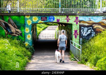 Uomo in pantaloncini corti che cammina con il suo cane su un ampio percorso a pista singola in una giornata di sole vicino a un sottopassaggio coperto di arti visive a Central Park, Chelmsford, Regno Unito Foto Stock