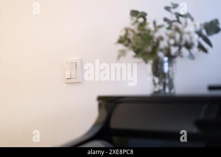 Dettaglio di un interruttore bianco sulla parete bianca di una stanza con un dettaglio di un pianoforte e un vaso di fiori. ecologia e cura del consumo energetico e. Foto Stock