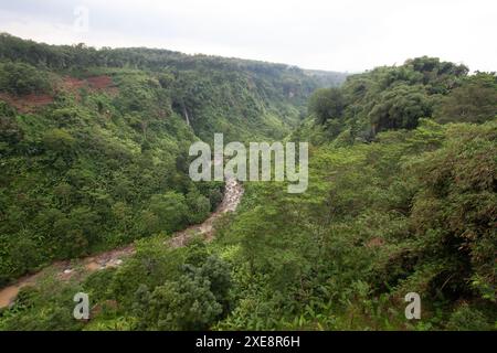 2009 novembre 28, Bandung, Indonesia: Il verde all'aperto. Foto Stock