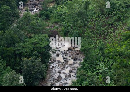 2009 novembre 28, Bandung, Indonesia: Il verde all'aperto. Foto Stock