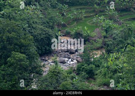 2009 novembre 28, Bandung, Indonesia: Il verde all'aperto. Foto Stock