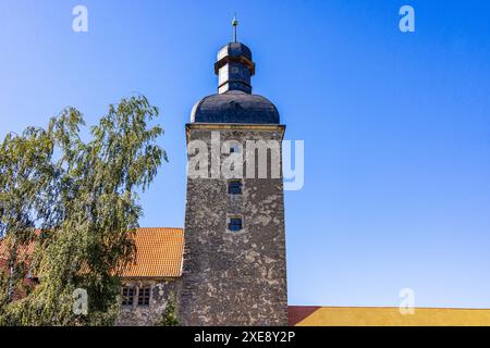 Castello di Zilly nel quartiere Huy di Harz Foto Stock