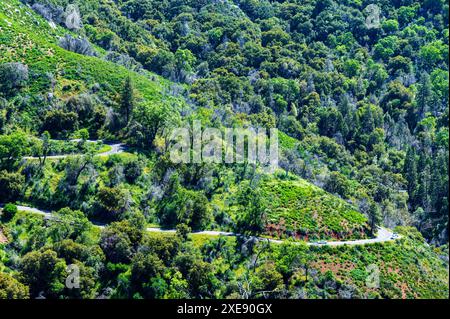 Autostrada generale ripida e ventosa; tra Hospital Rock e Big Trees Trail; Sequoia National Park; California; Stati Uniti Foto Stock