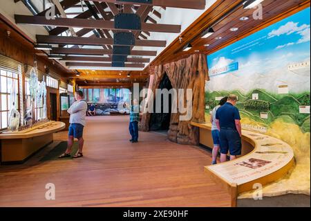 I visitatori esplorano il Giant Forest Museum, il Sequoia National Park, la California e gli Stati Uniti Foto Stock