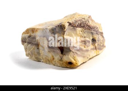 Pelitic Schist Rock, isolata su sfondo bianco da vicino Foto Stock