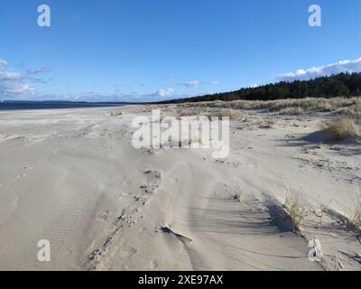 Ampia spiaggia naturale sul Mar Baltico Foto Stock