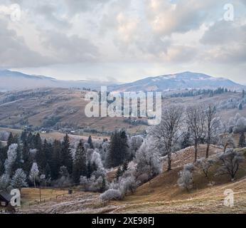 Inverno in arrivo. Pittoresca nebbia e scena moody mattina in fine autunno montagna campagna con hoarfrost su erbe, alberi, s Foto Stock