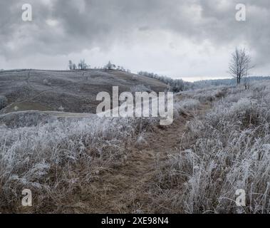 Inverno in arrivo. Nuvoloso e nebbia mattina molto tardo autunno montagne scena. Tranquillo viaggio pittoresco, stagionale, natura e c Foto Stock