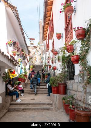 Cusco, Perú; 12 agosto 2023: Un sacco di case con molti vasi di fiori in una stretta strada coloniale con pavimenti in pietra e scalini Foto Stock