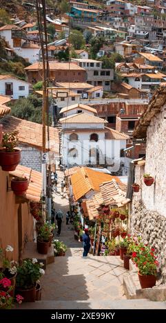 Cusco, Perú; 12 agosto 2023: Un sacco di case con molti vasi di fiori in una stretta strada coloniale con pavimenti in pietra e scalini Foto Stock