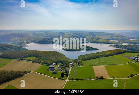 Vista aerea, Rursee con l'isola di Eichert, la diga di Rur Schwammenauel e la navigazione Rursee con barche a vela, di fronte alla tenuta residenziale Scheidbaum, fores Foto Stock
