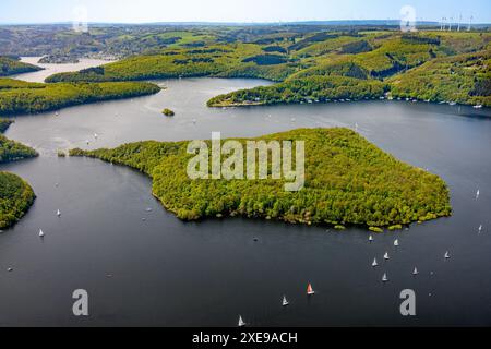 Vista aerea, Rursee con l'isola di Eichert, la diga di Rur Schwammenauel e la navigazione Rursee con barche a vela, colline e valli della foresta, Eifel National Foto Stock