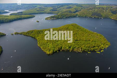 Vista aerea, Rursee con l'isola di Eichert, la diga di Rur Schwammenauel e la navigazione Rursee con barche a vela, colline e valli della foresta, Eifel National Foto Stock