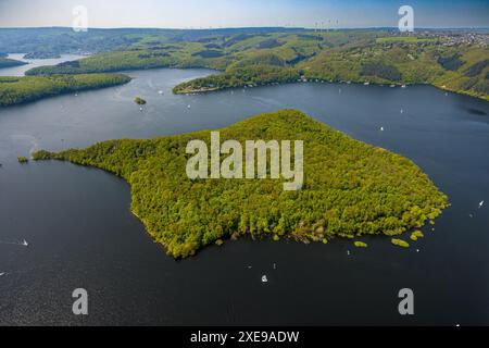 Vista aerea, Rursee con l'isola di Eichert, la diga di Rur Schwammenauel e la navigazione Rursee con barche a vela, colline e valli della foresta, Eifel National Foto Stock