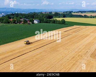 Thalheim bei Wels, Österreich. 26. Giugno 2024. Mähdrescher bei der Getreide-Ernte. Alta Austria *** Thalheim bei Wels, Austria 26 giugno 2024 mietitrebbiatrice per la raccolta del grano dell'alta Austria Foto Stock