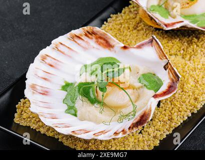 Carne di capesante fritta di pesce con burro in conchiglie Foto Stock