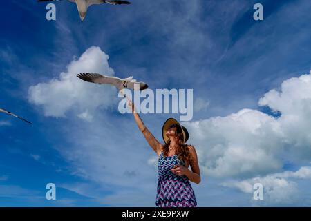 Seaside Serenity: Una splendida fuga con gabbiani e spuntini Foto Stock